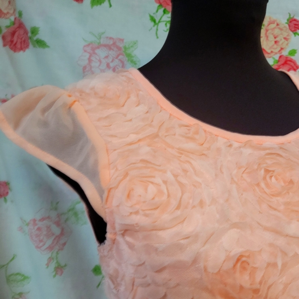 Spring/summer dress